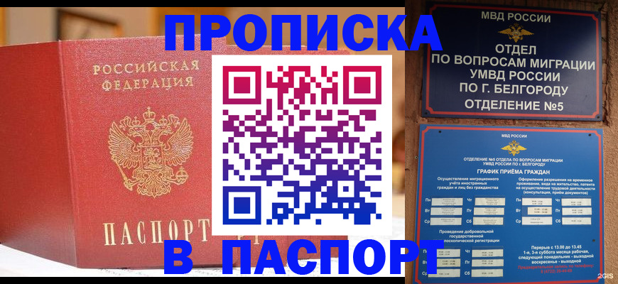 временная регистрация в квартире в Кудрово